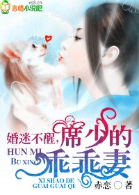 婚迷不醒免费完整版