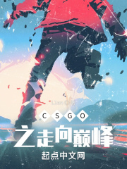 csgo完美巅峰对决